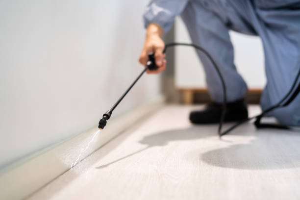 Rodent Entry Point Assessment in Rancho Calaveras