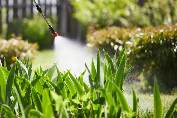 Tamper-Resistant Bait Stations for Rodents in Rancho Calaveras