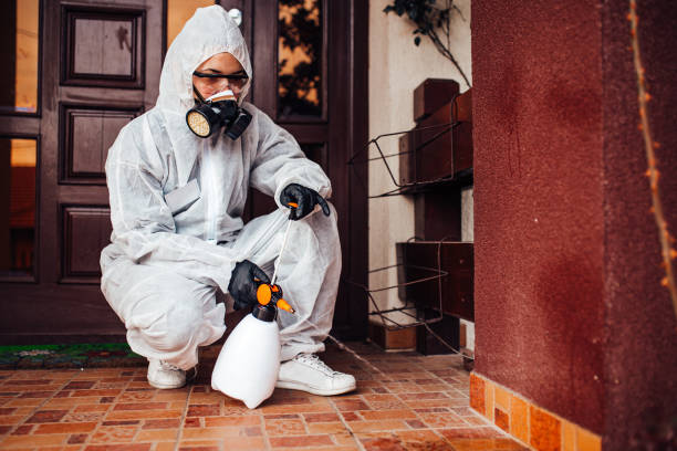 Attic and Crawl Space Rodent Treatment in Rancho Calaveras
