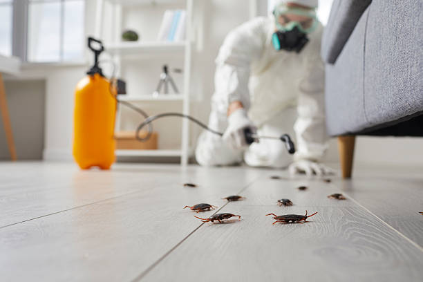 Commercial Rodent Management in Rancho Calaveras